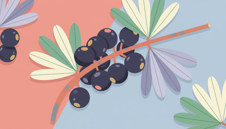 A Data-Driven Ranking: The 10 Best Saw Palmetto Supplements for DHT Support