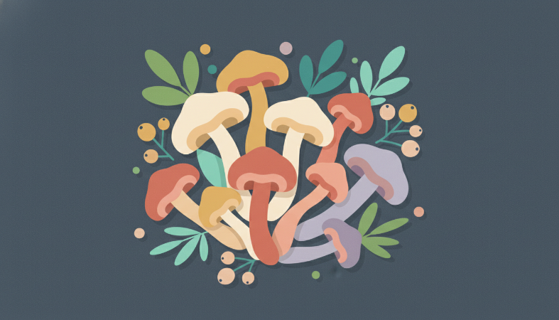 Cordyceps Supplements Decoded: A Statistical Deep Dive into the 2025 Market