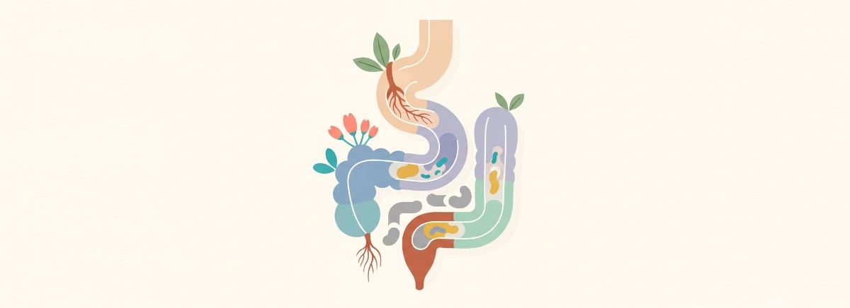 Digestive Health title image