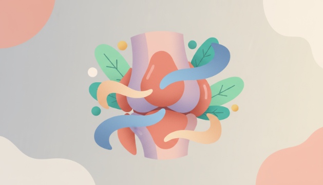 Anti-Inflammatory Support