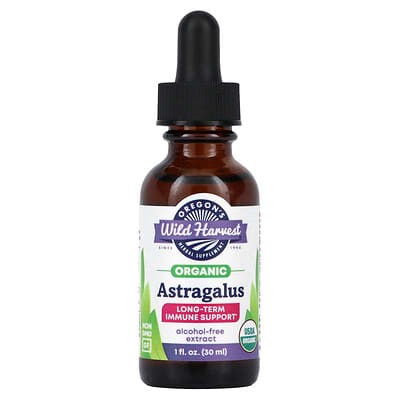 Astragalus