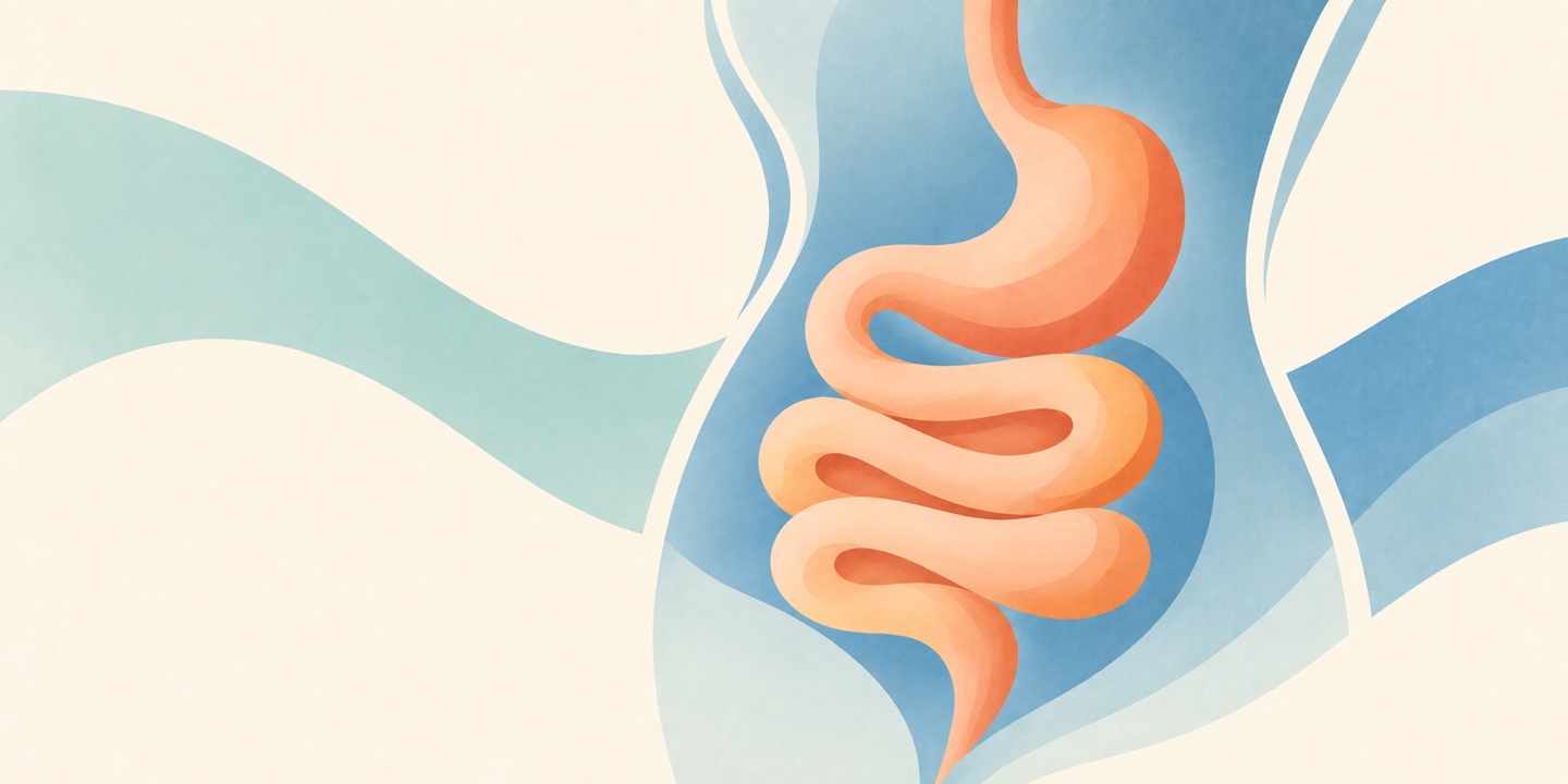 Premium Digestive Health Stack