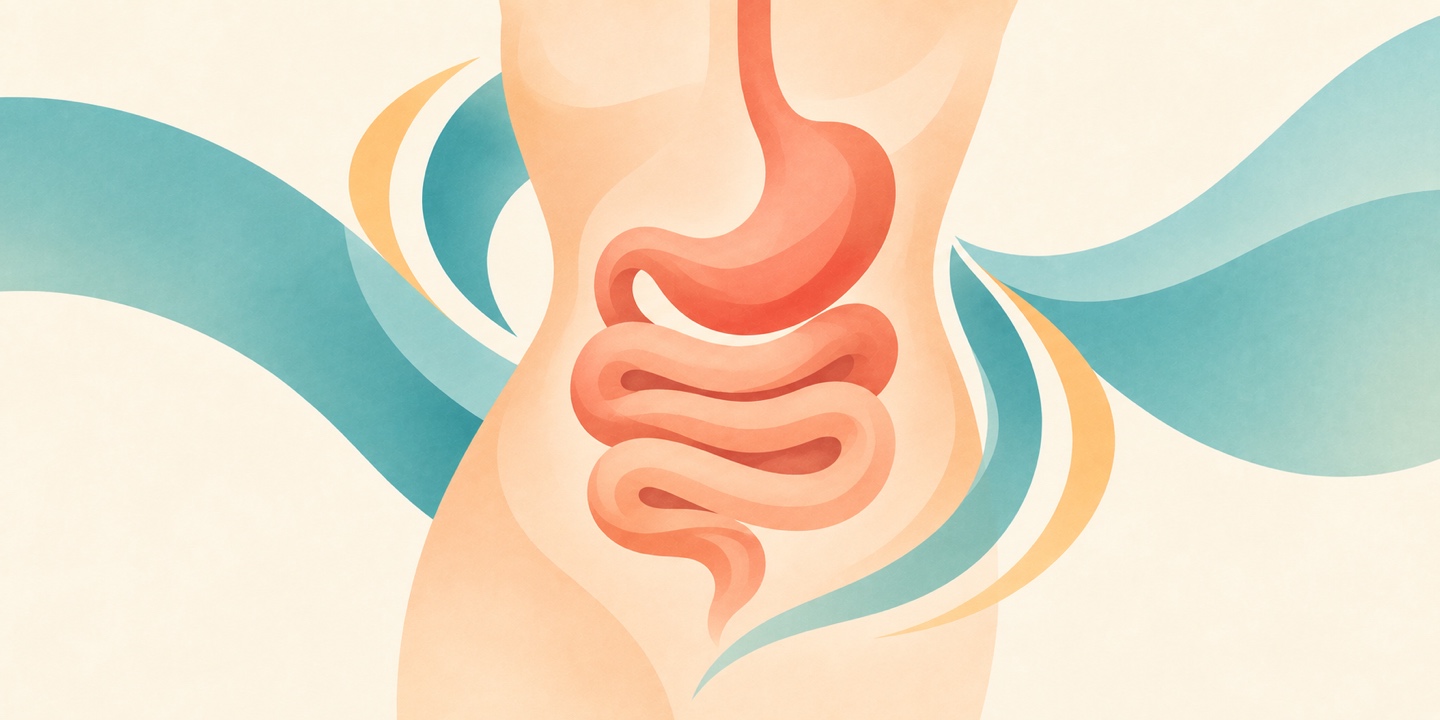 Best Value Digestive Health Stack