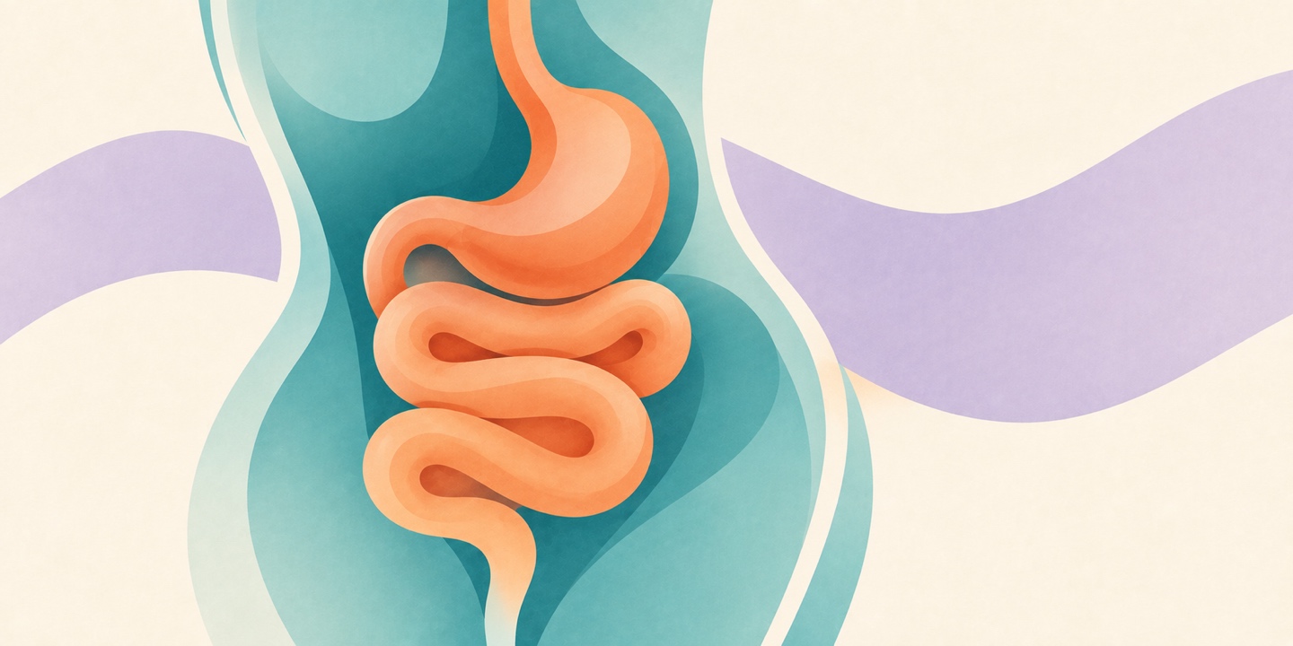 Budget Digestive Health Stack
