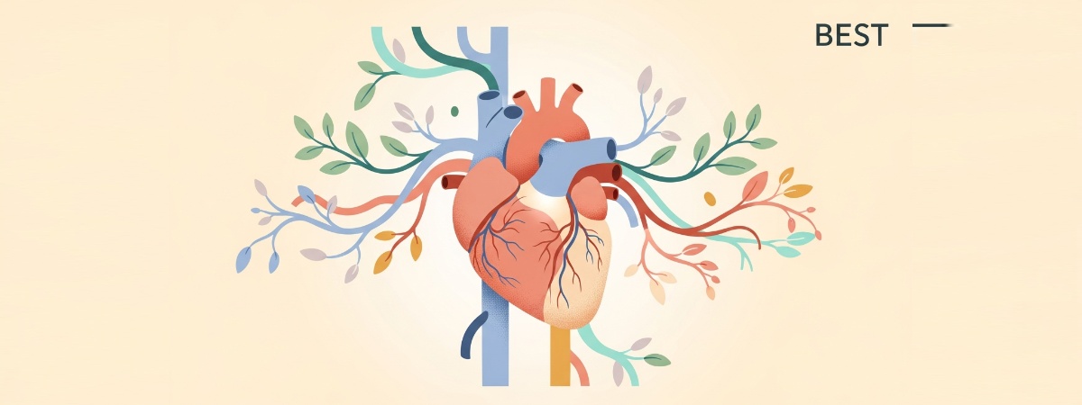 Premium Cardiovascular Support Stack