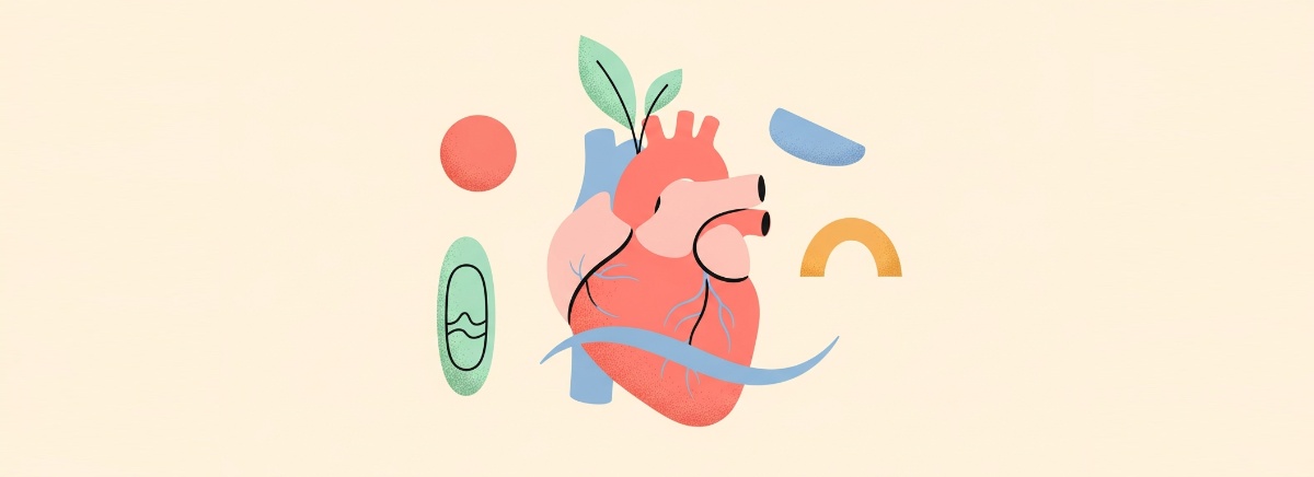 Budget Cardiovascular Support Stack