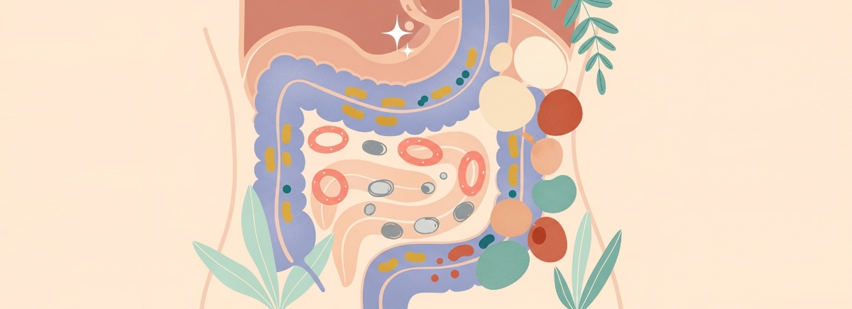 Premium Digestive Health Stack