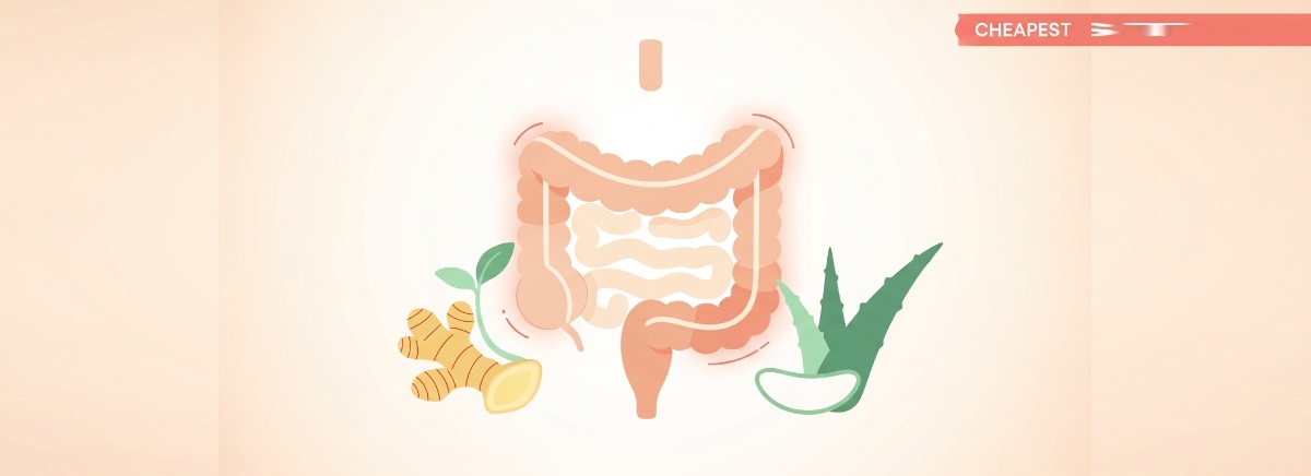 Budget Digestive Health Stack