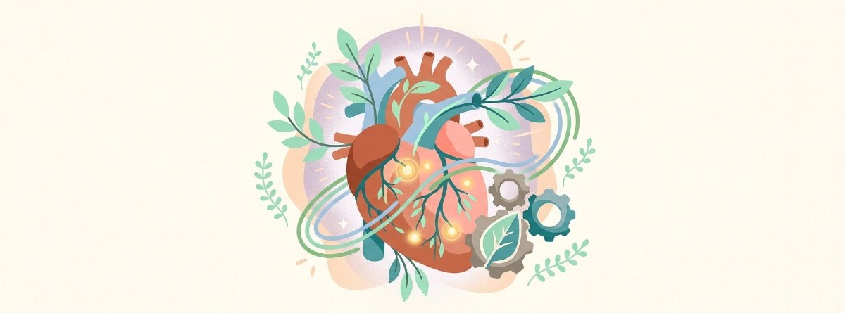 Best Value Heart Health Stack
