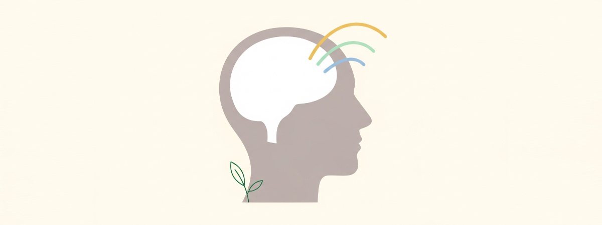 Budget Cognitive Support Stack